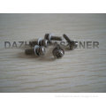pan head PH machine screw with spring washer and flat washer SS
